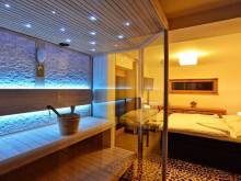 Luxury Wellness Apartment - Rokytnice nad Jizerou