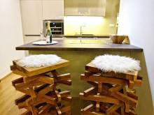 Luxury Wellness Apartment - Rokytnice nad Jizerou