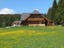 Chalupa u lesa Šumava - Nové Hutě