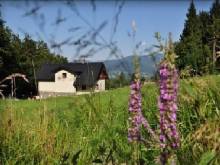 Apartmány u Honzy - Pstruží