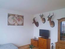 Penzion U Hájčusů - Dolní Žďár