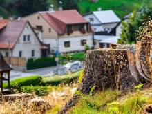 Apartmán Kristýna - Herlíkovice