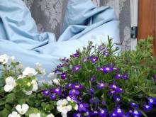 Apartmán Kristýna - Herlíkovice