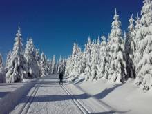 Apartmán Jablonec Pod lesem - Jablonec nad Nisou