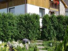 Apartmán Skalka - Svratouch