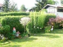Apartmány Eva - Harrachov