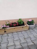 Ubytování U Zouharů - Dolní Dunajovice