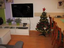 Paradise 2 - Frymburk