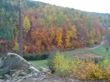Les Park - Vřesovice