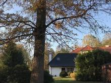 Apartmán Sýkorky - Majdalena