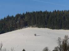 Apartmán U Kurcinů - Velké Karlovice