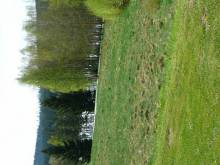 Apartmán Jenišov ( Horní Planá) - Jenišov