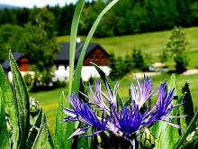 Wellness apartmán Na slunci - Příchovice