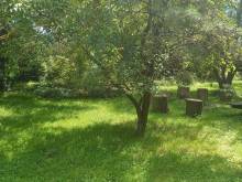 BYT SPRÁVCE na statku Vranč - Bítov