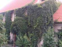 BYT SPRÁVCE na statku Vranč - Bítov