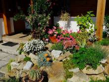 Penzion Šumavské rozcestí - Nové Hutě