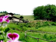 Horská chata - Skiareál Turek - Štědrákova Lhota