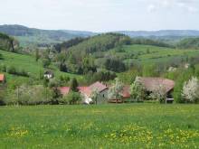U jabloně - Víchová nad Jizerou