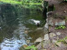 Chalupa pod studánkou - Hraničná
