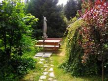 Apartmán u Plešnýho jezera - Jelení