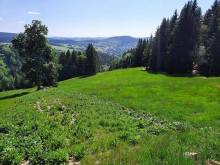 Apartmán Mezi Stromy - Rokytnice nad Jizerou