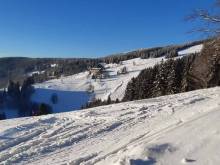 Apartmán Mezi Stromy - Rokytnice nad Jizerou