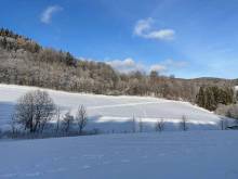 Zimní apartmán - Horní Lipová