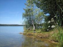 Chalupa k pronajmutí - Suchdol nad Lužnicí