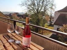 Penzion jaký svět neviděl - Šakvice