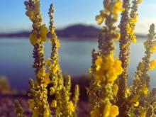 Penzion jaký svět neviděl - Šakvice