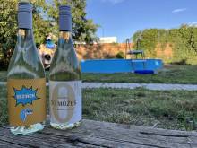 Penzion jaký svět neviděl - Šakvice