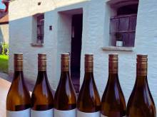 Penzion jaký svět neviděl - Šakvice