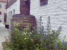 Penzion jaký svět neviděl - Šakvice