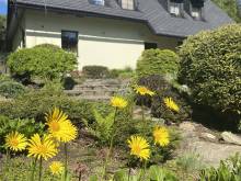 Apartmány U Sýkorky - Malá Morávka