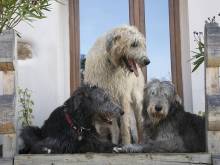 Apartmány Trnov - Trnov