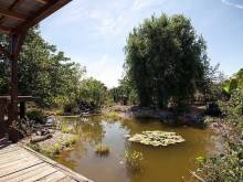 Ubytování Na dvorku - Šakvice