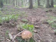 Chalupa Řetenka - Řetenice