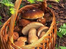 Ranč Double M - Libečov