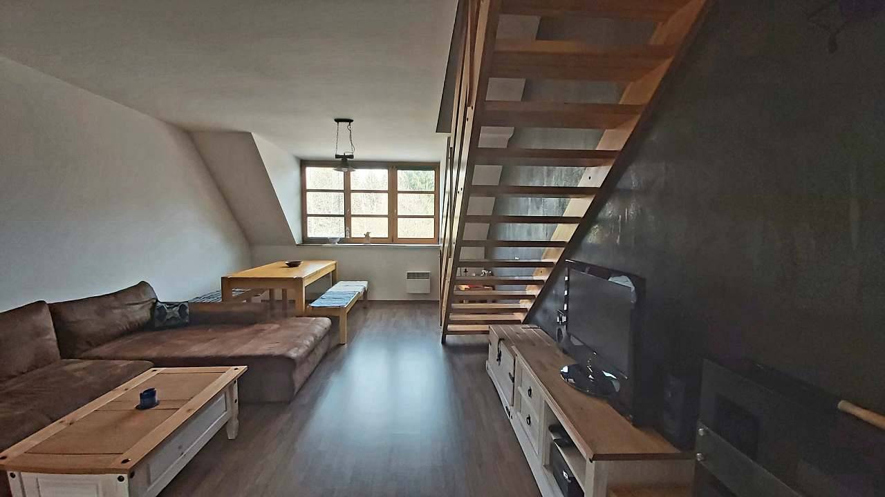 Apartmán Relax 3+kk  - Říčky v Orlických horách
