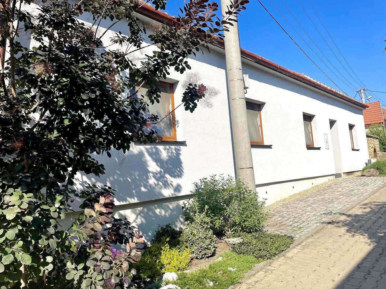 Vinařství Bočko - Vrbice