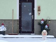 Ubytování U puštíka - Borová Lada