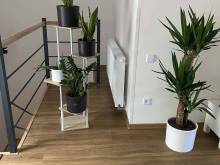 Apartmán pod Cyrilem a Metodějem - Strachotín