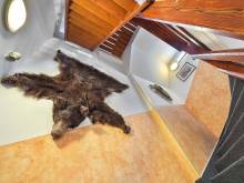 Chalupa Katty - Špindlerův Mlýn