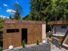 A-Frame Ski Wellness Přemyslov - Přemyslov