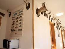 Apartmány HUBERT - Bližná