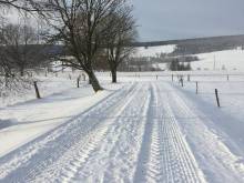 Apartmán v centru - Nové Hutě