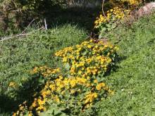 Apartmán v centru - Nové Hutě