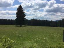 Pronájem apartmánu - Kvilda