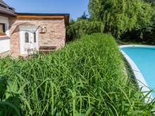 Nový apartmán u Garfielda - Kurdějov