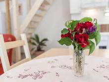 Nový apartmán u Garfielda - Kurdějov